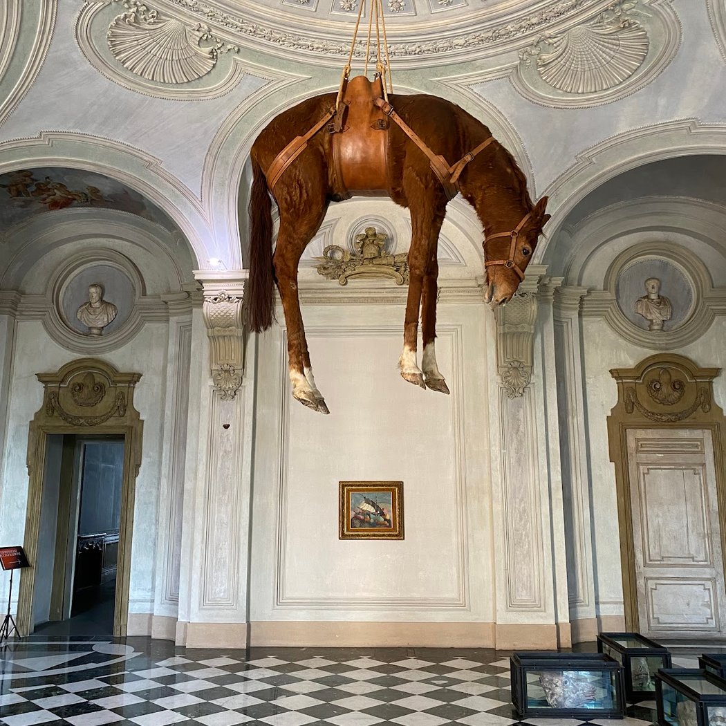 Castello di Rivoli Museo d'Arte Contemporanea 1