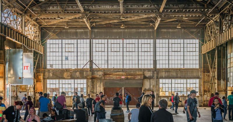 Dogpatch 1