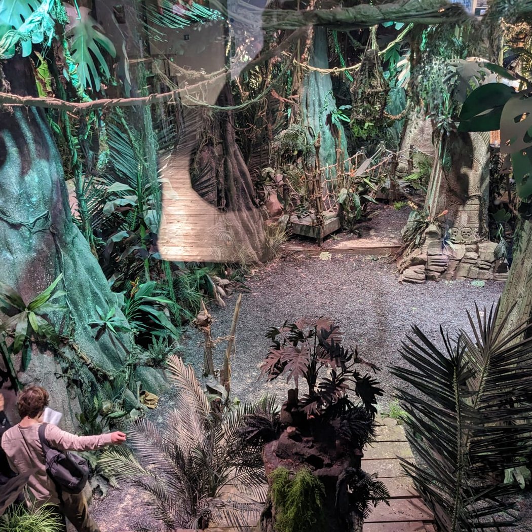 Tomb Raider The LIVE Experience 1