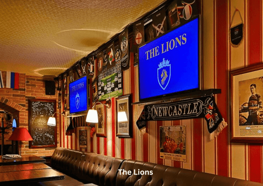 The Lions 3