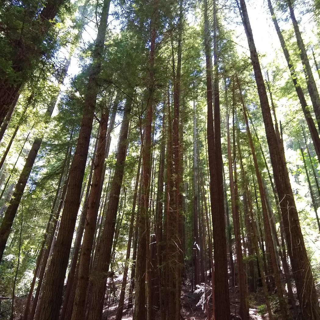 Fall Creek Trail 3