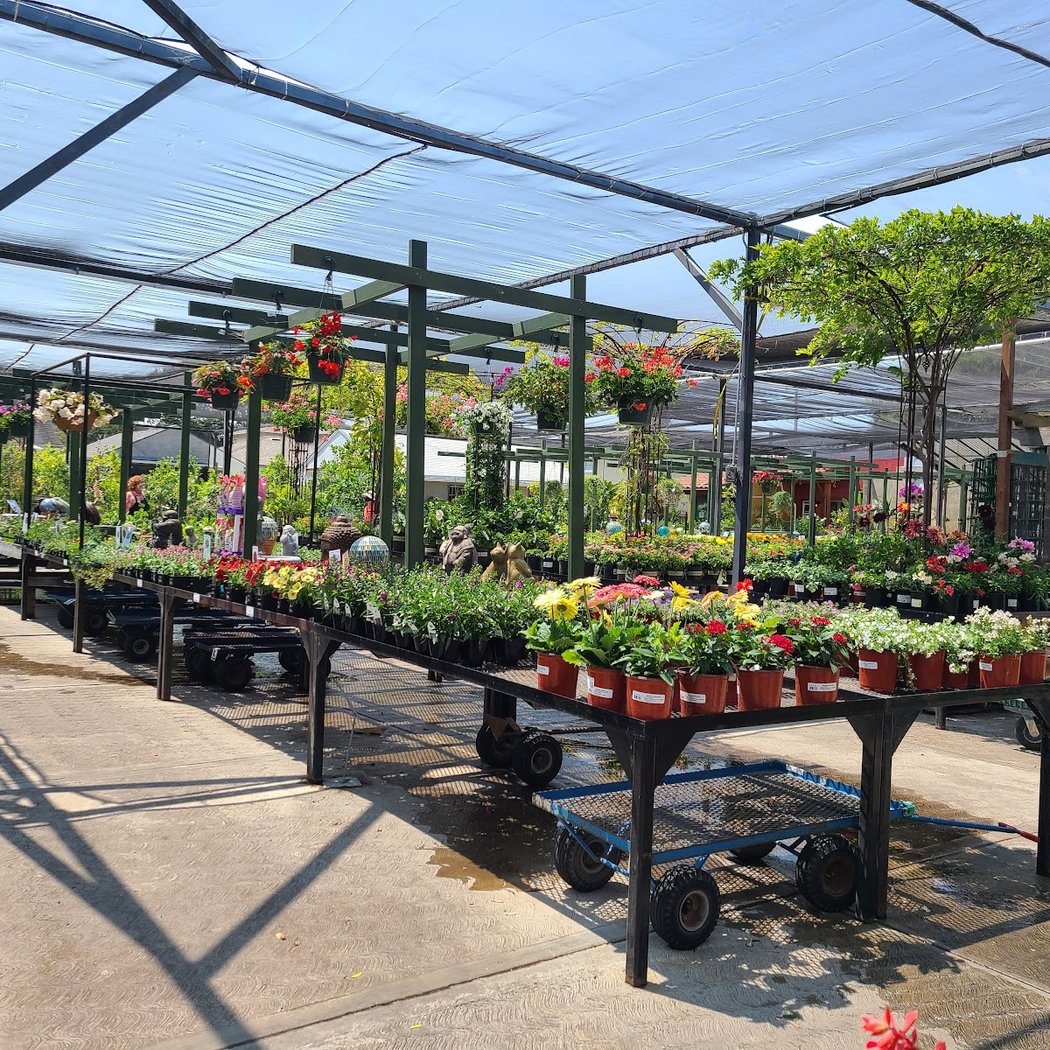 Annual Citrus-Tasting Event 3