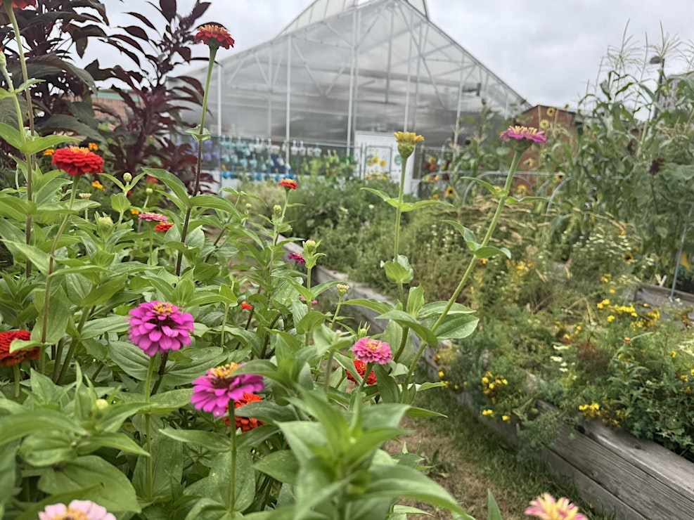 Greenhouse Education Center 2