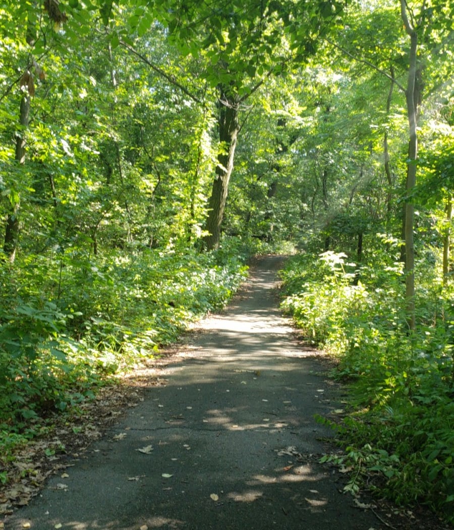 Fort Cockhill 1