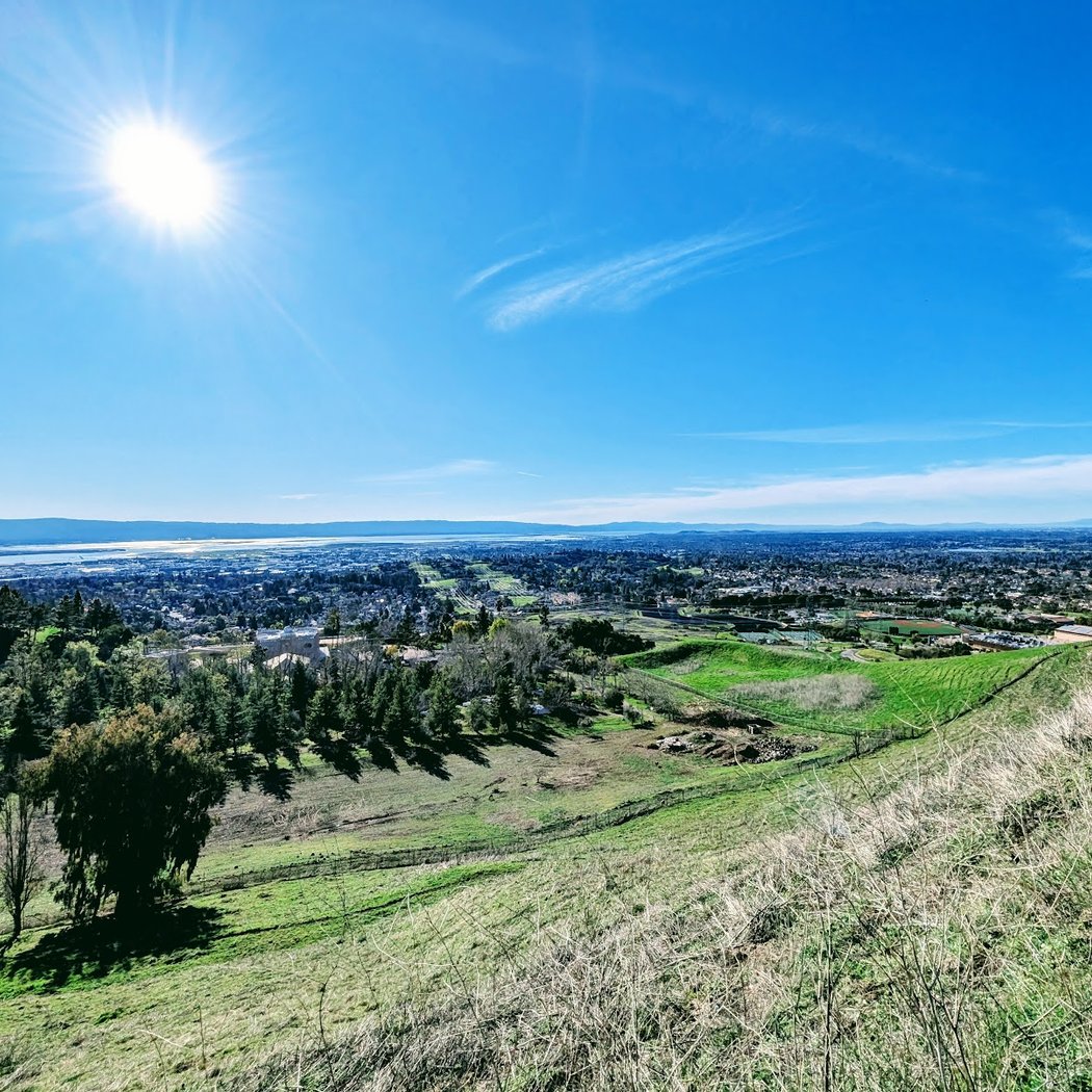 Mission Peak Hike with TAP-SF 2