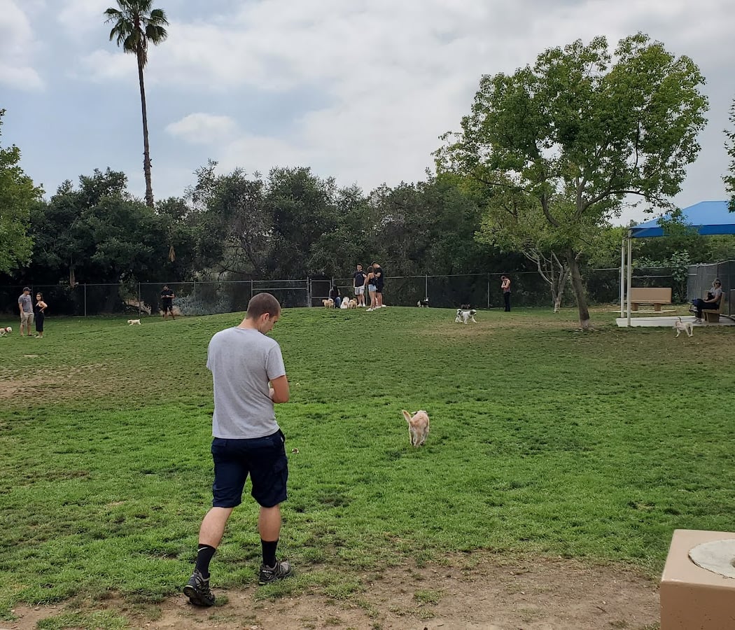 Alice's Dog Park 2