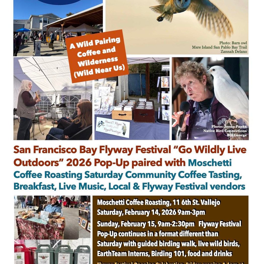 San Francisco Bay Flyway Festival Pop-Up 1