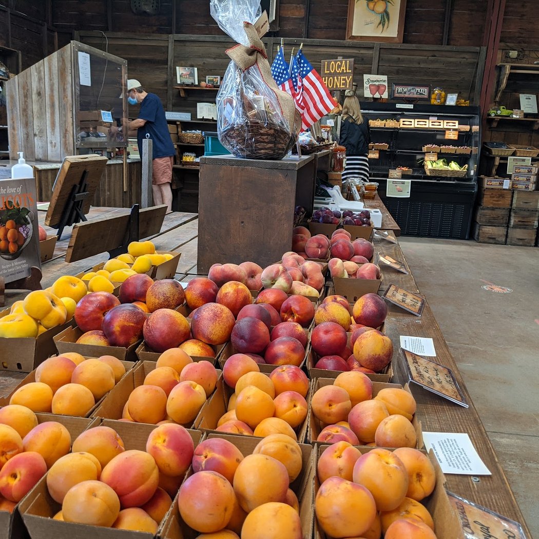 Summer Tasting Tours 2