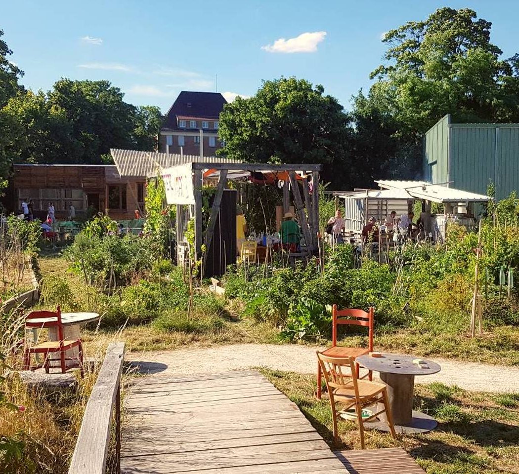 Prendre soin de la forêt-jardin 1
