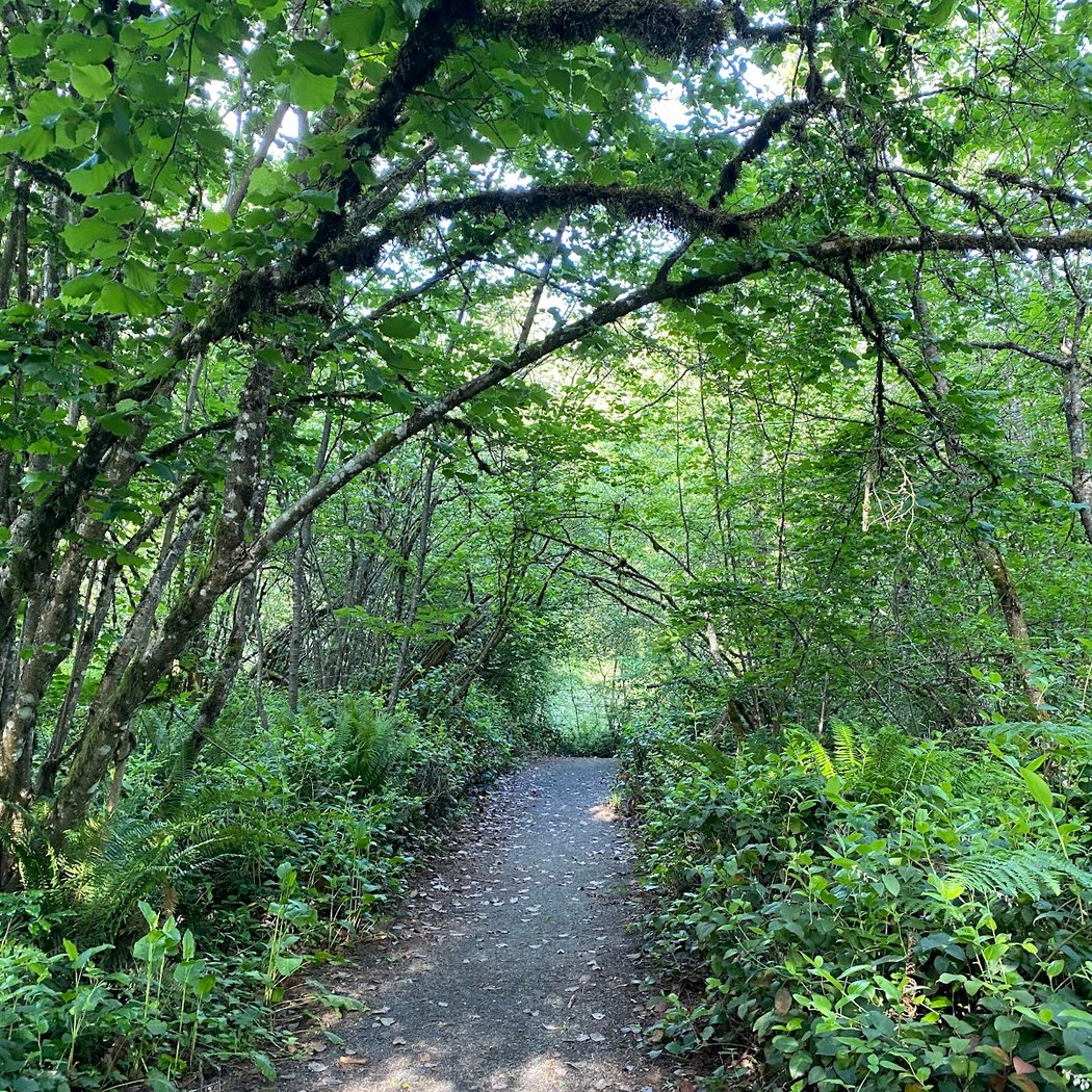 Tacoma Nature Center 2