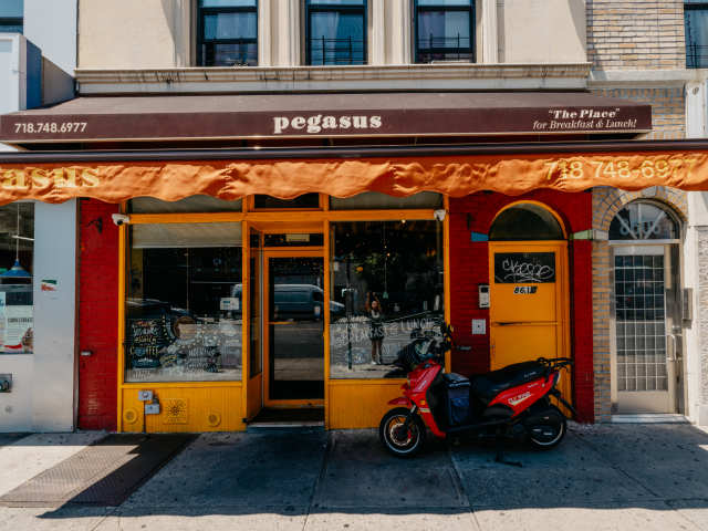 Pegasus Brooklyn 2