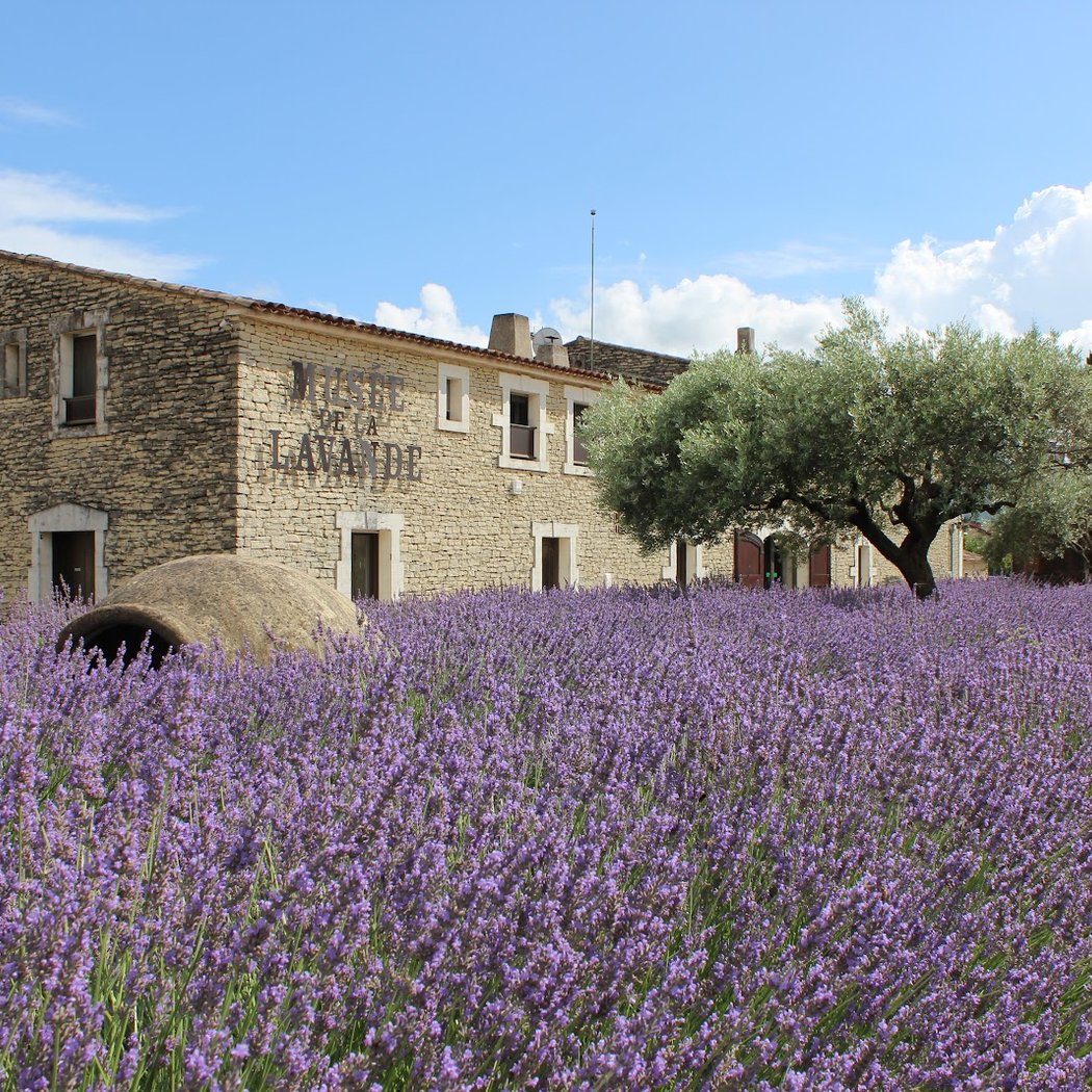 Musée de la Lavande Luberon 3