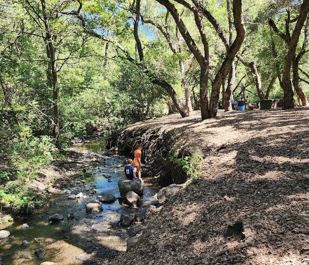 Tu B’Shvat Habitat Restoration 1