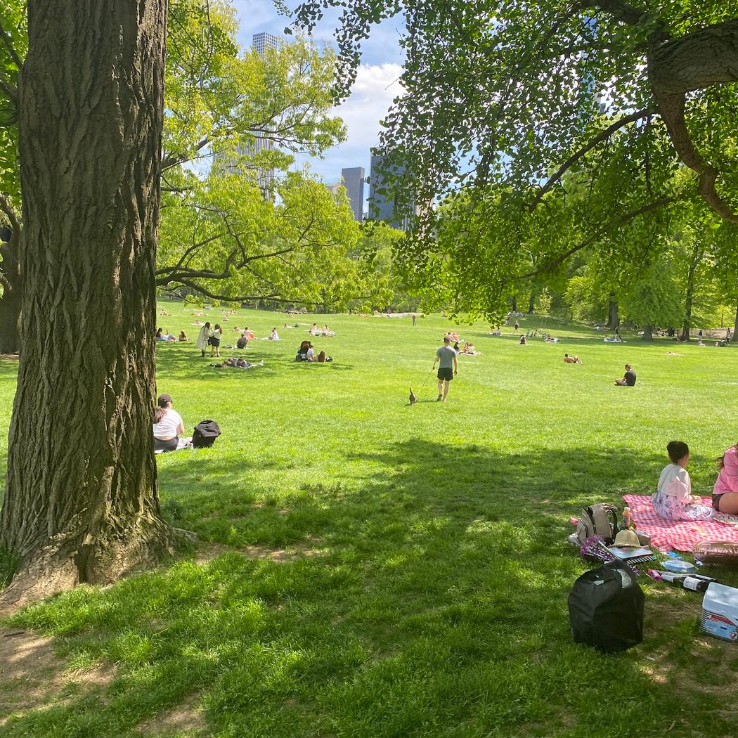Garden Pâté Hénaff Picnic 2025 3
