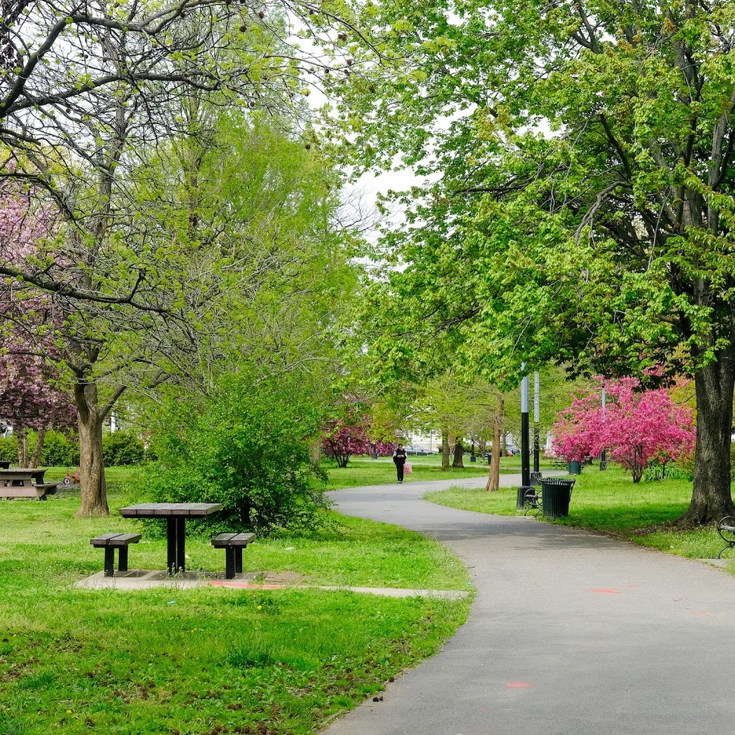 Amersfort Park 2