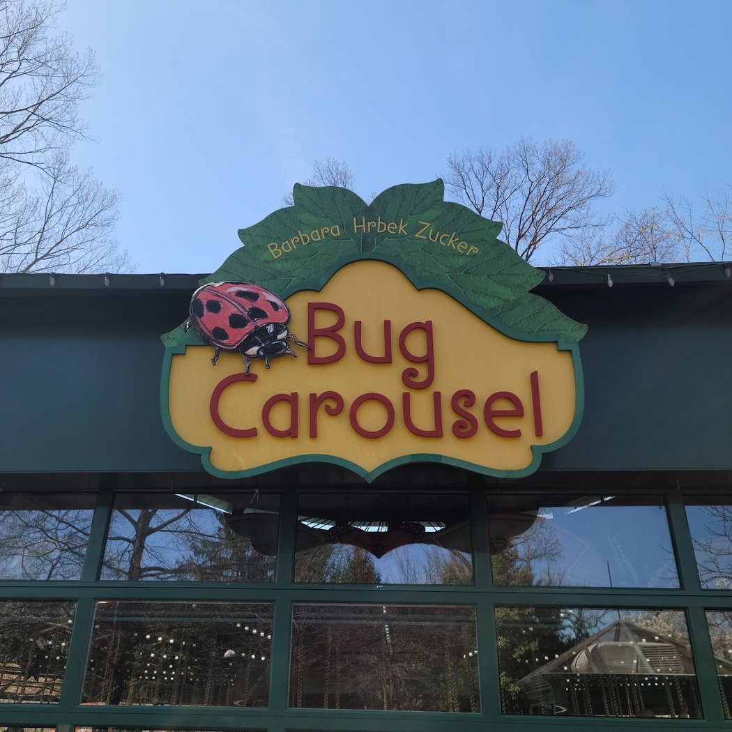 Bug Carousel 3