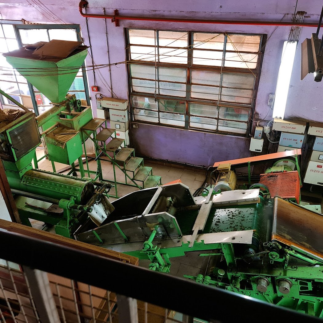The Tea Factory & The Tea Museum 3