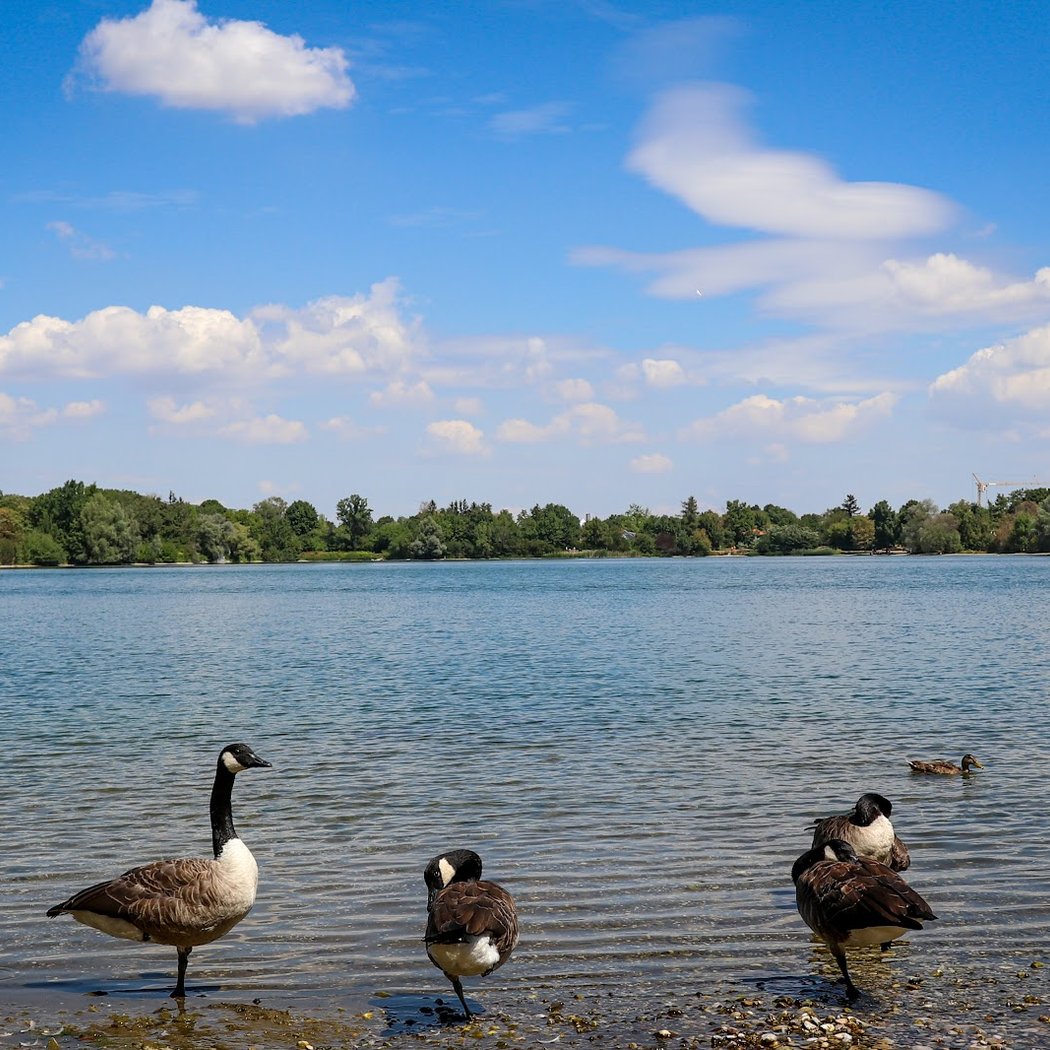 Feldmochinger See 2