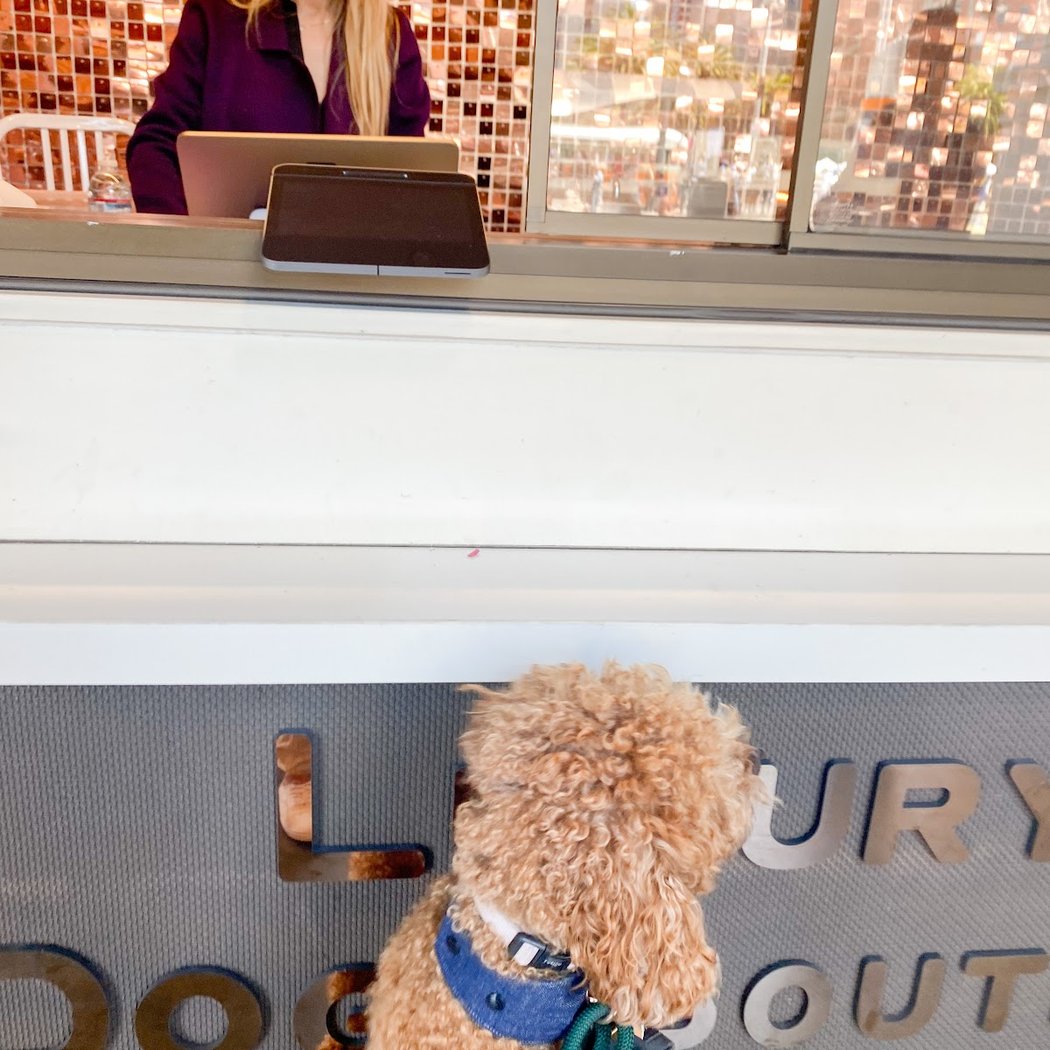 Mishka Dog Boutique (Ferry Building) 3
