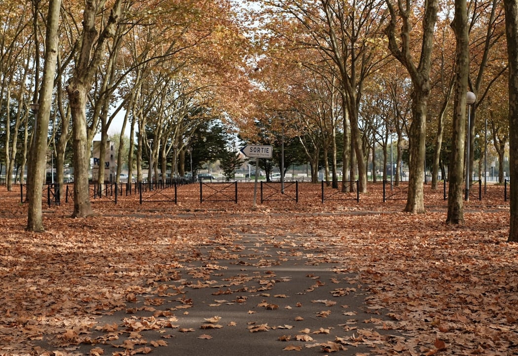 Parc de la Pépinière 5