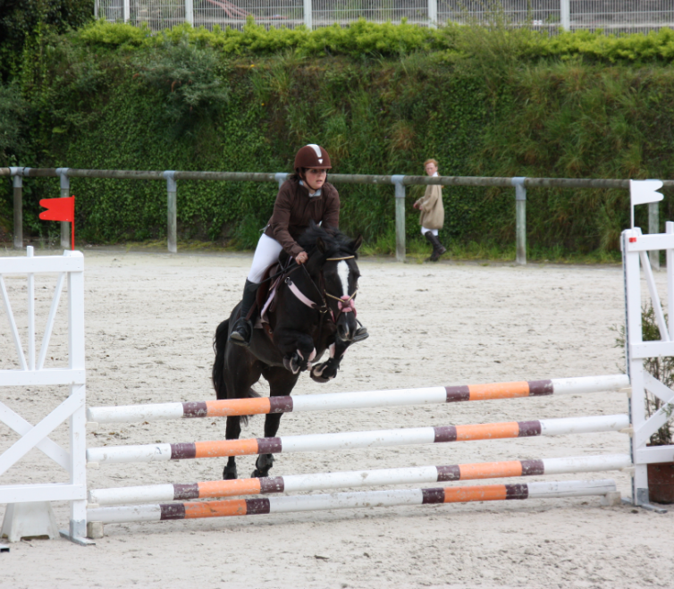Centre Equestre Du Bois Brule 1
