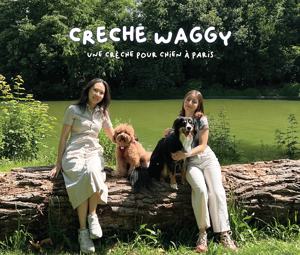 Waggy Dog Daycare 2