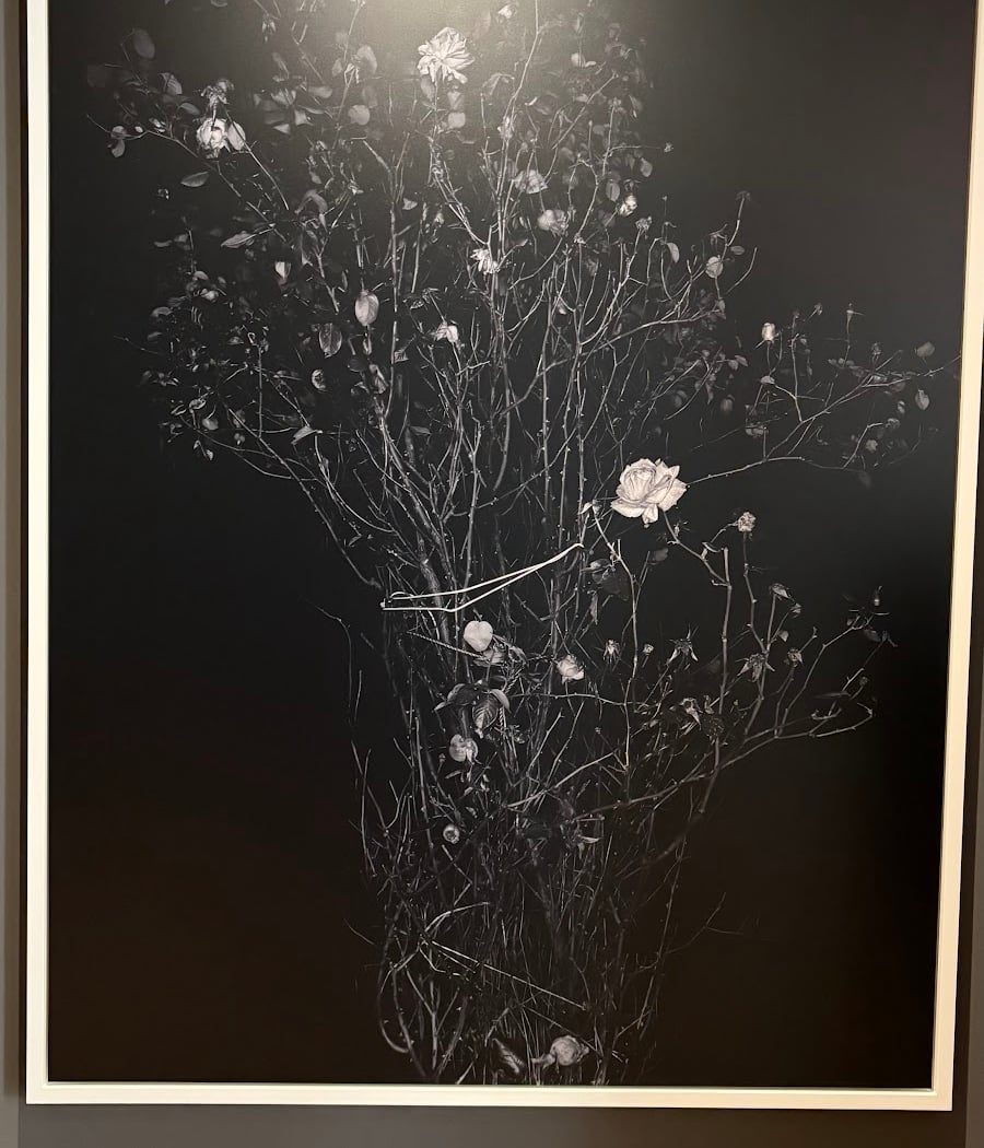 The Rose Garden Conference 2