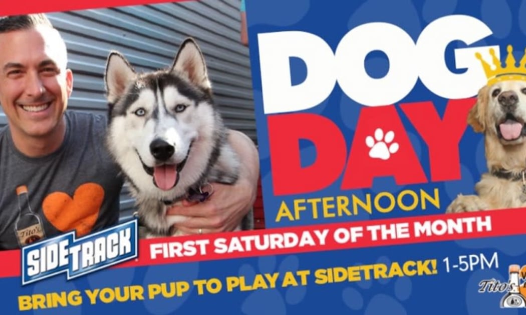Dog Day Saturday Afternoon 1