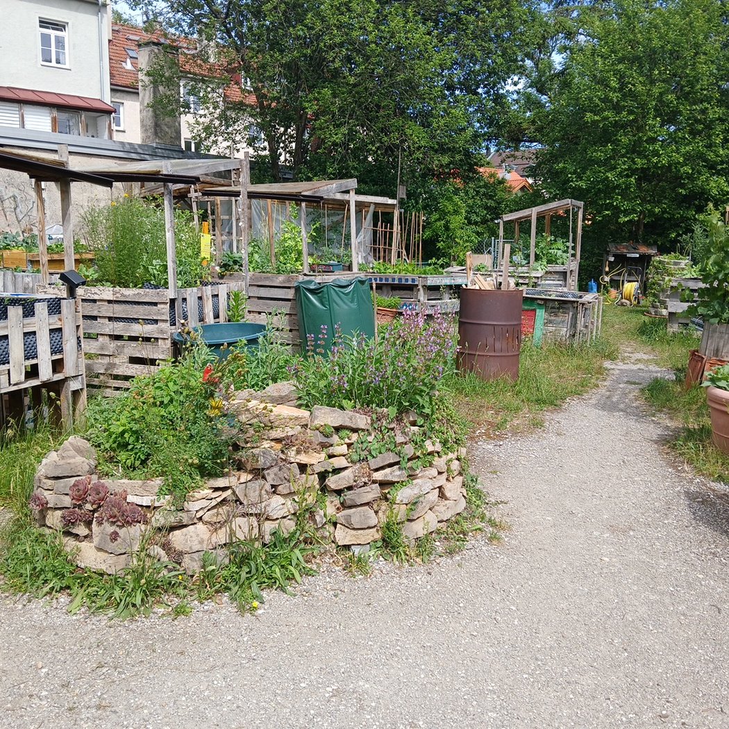 Gemeinschaftsgarten rosen_heim