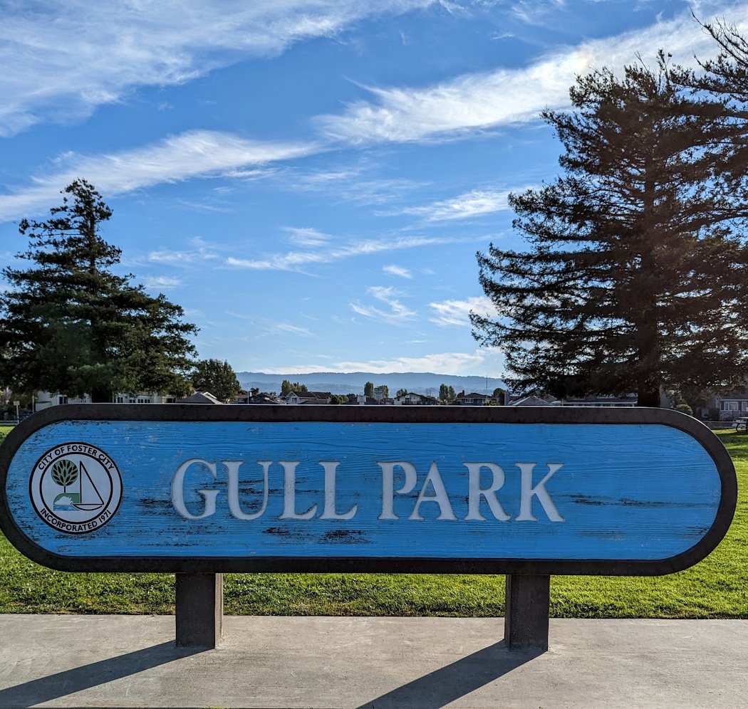 Gull Park 2