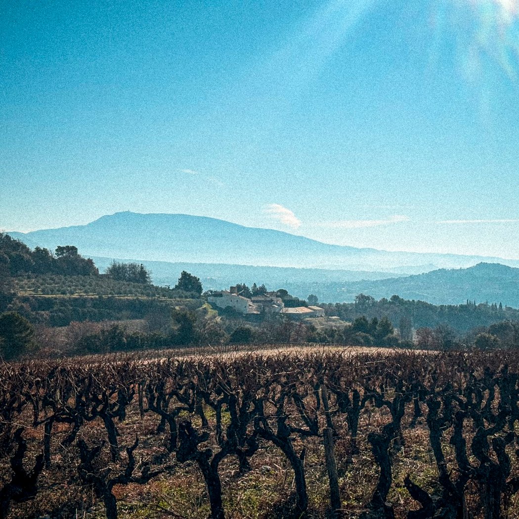 Vinsobres 1