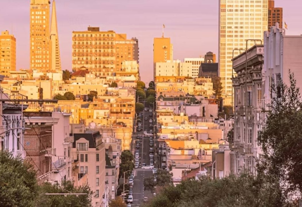 Nob Hill 1