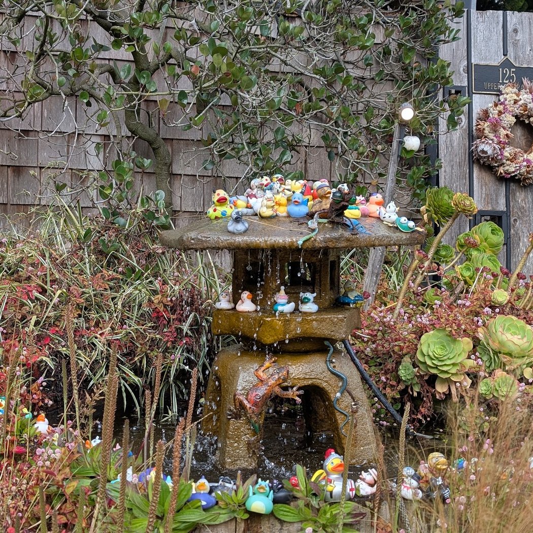 Duck Fountain 2
