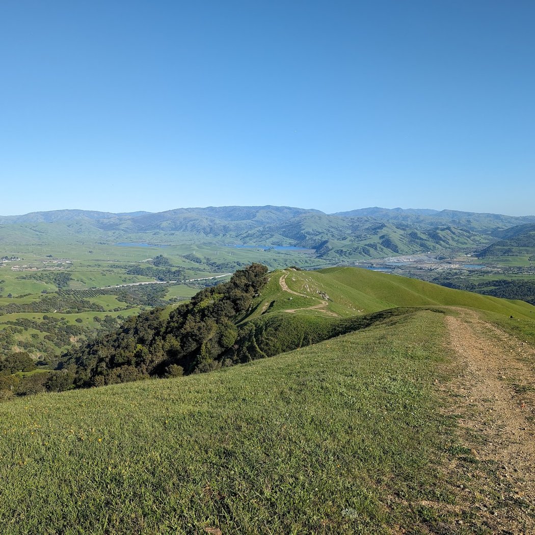 Sunol Ridge Trail 3