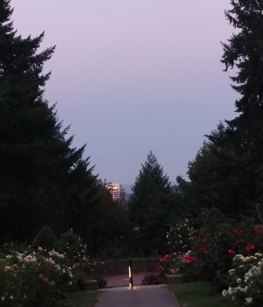 Rose City Park 2