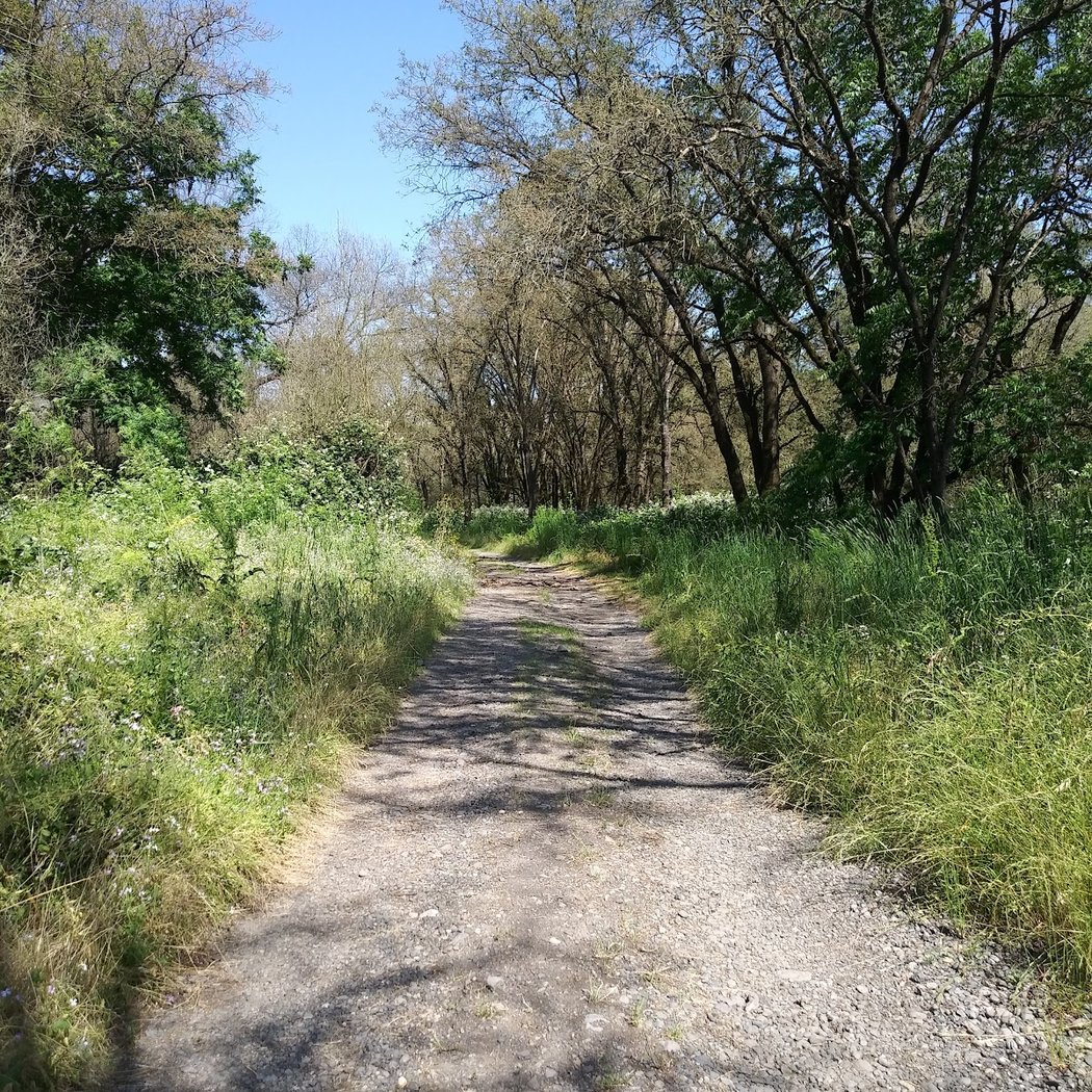 Santa rosa creek trail 2