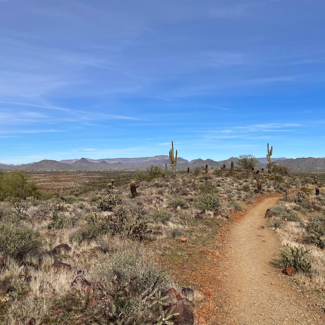Apache Wash Trail Head 2