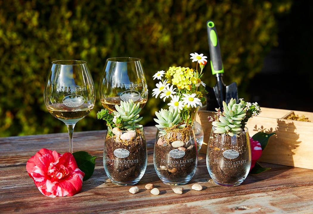 Succulent Arrangement Workshop 1
