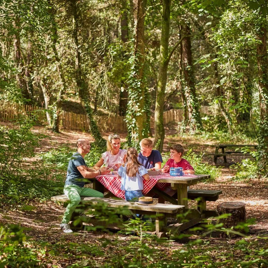 Forêt d'Escoublac 2
