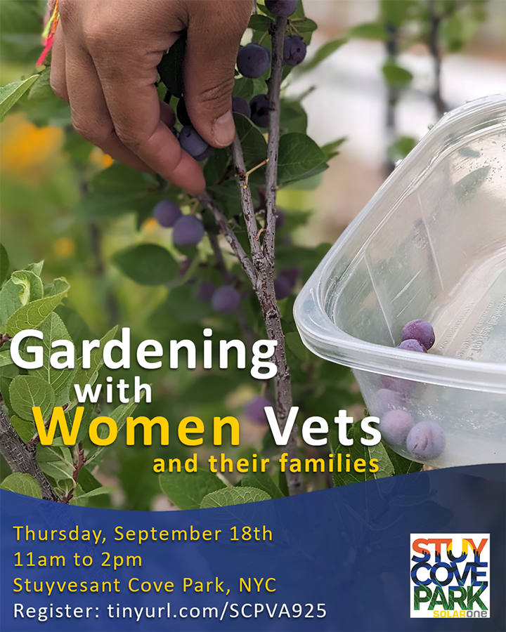Gardening with Vets - Women & Families 1
