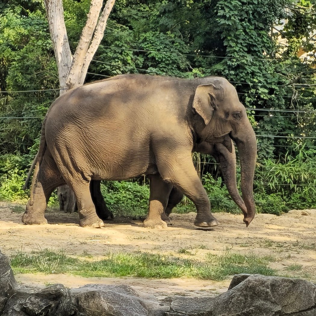 Feierabend-Touren im Zoo 3