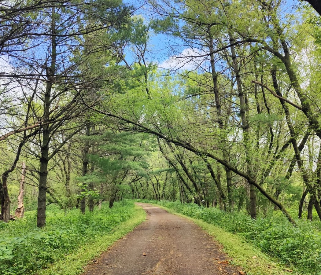 Root River State bike Trail 3
