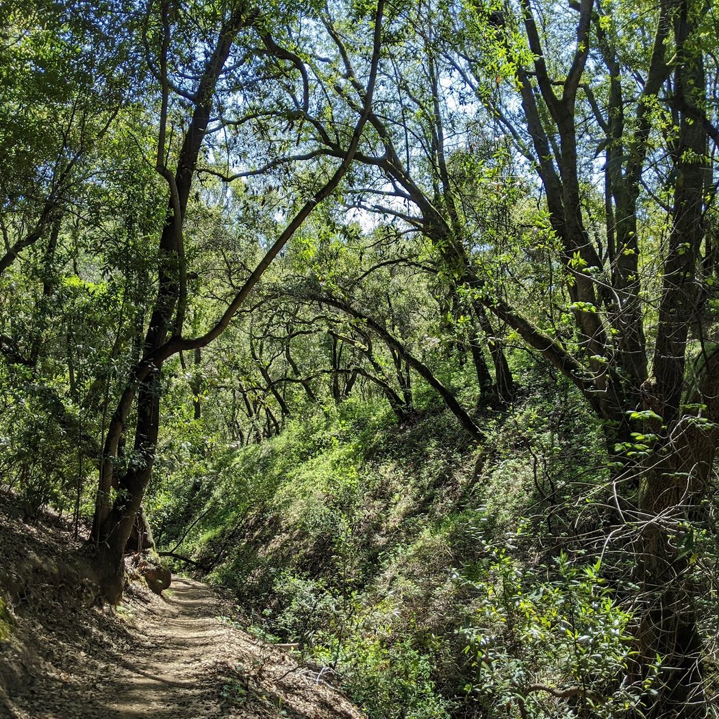 Chabot to Garin Regional Trail 1