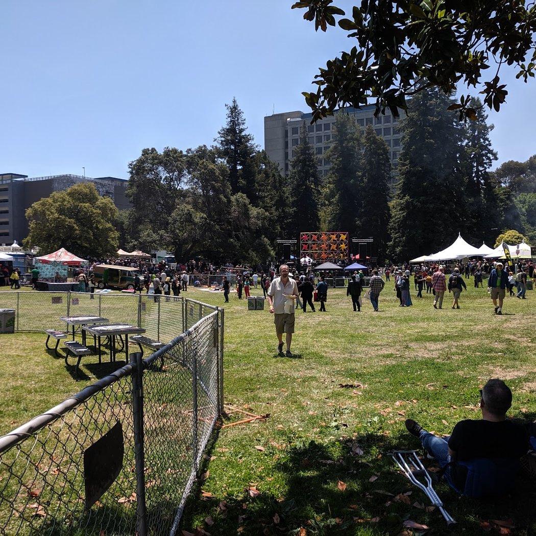Mosswood Meltdown 1