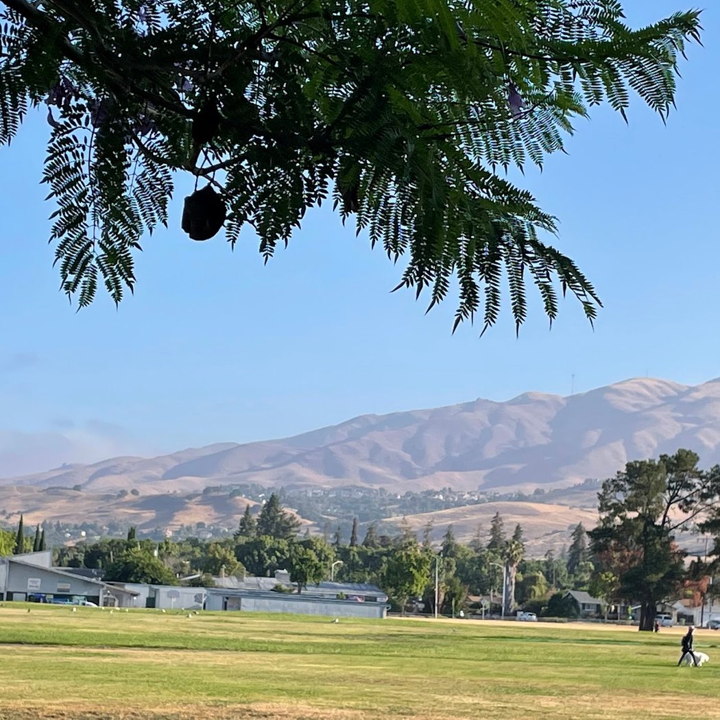 Robert E. Browne Park 1