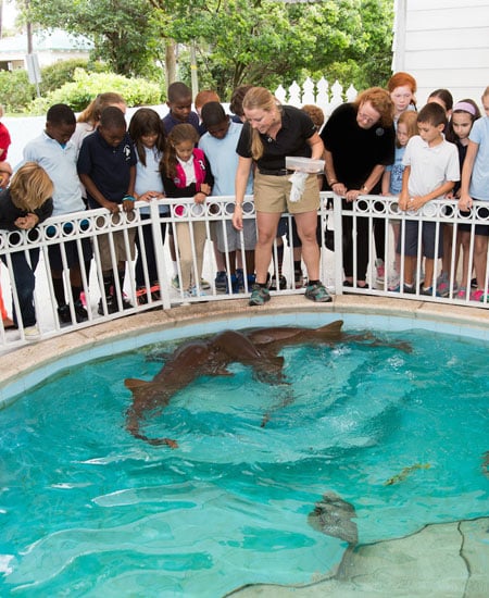 Sandoway Discovery Center 1