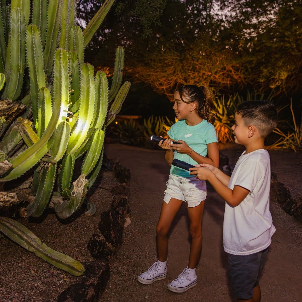 Cool Desert Nights 1