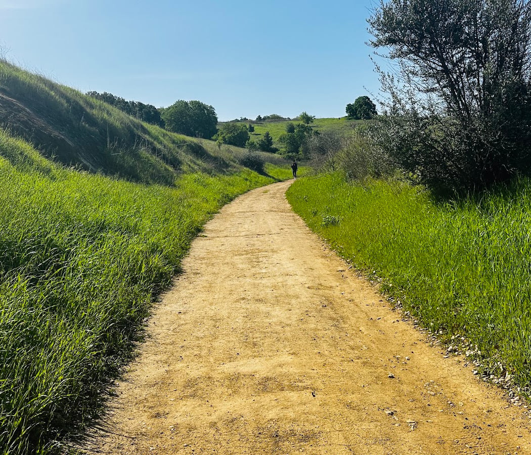 Ohlone Trail Parking (Lime Ridge) 1