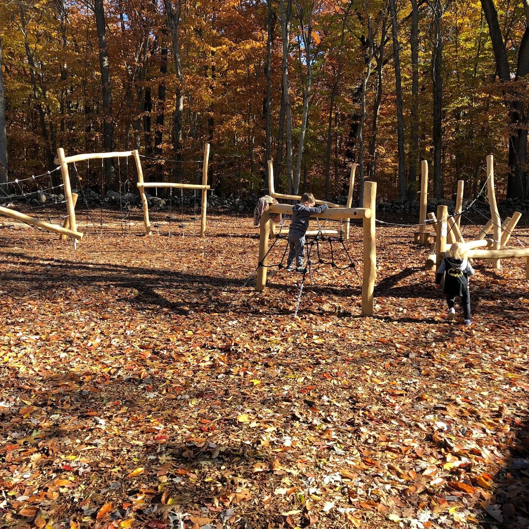 Fall Festival 1