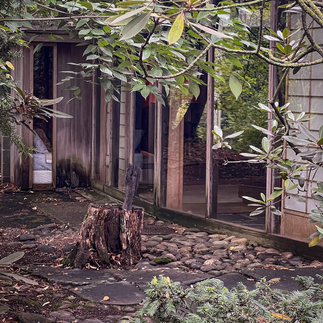 Suburbia Transformed: Rethinking the Lawn 1
